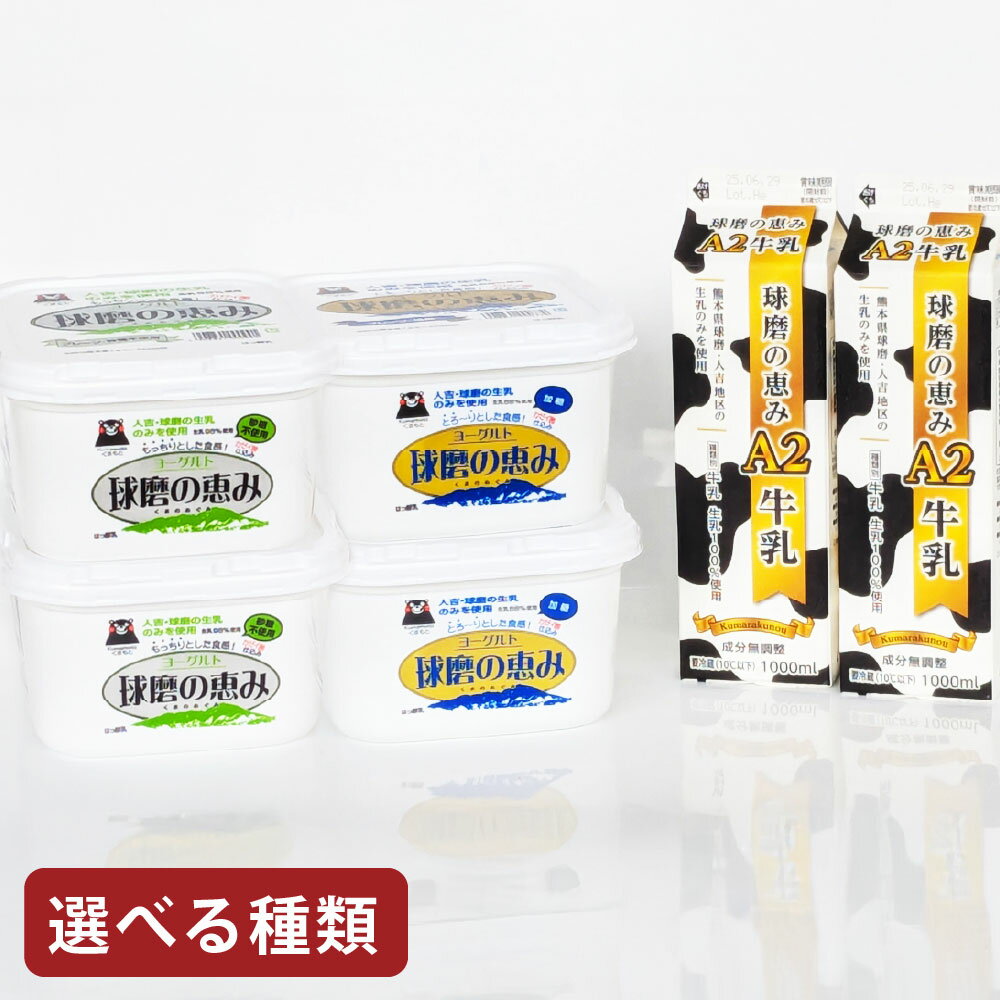 【ふるさと納税】＜選べるセット内容＞球磨の恵み「A2牛乳」と「球磨の恵みヨーグルト」セット ヨーグルト（砂糖不使用・加糖） 生乳 乳製品 カゼイ菌 ぎゅうにゅう ミルク ドリンク 飲料 スイーツ デザート 朝食 冷蔵 熊本県産 国産 九州 熊本県 湯前町 送料無料