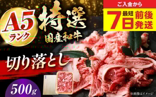 【最短7日前後発送】国産和牛切落し 500ｇ 冷凍 肉 お肉 牛肉 和牛 黒毛和牛 国産 国産牛 牛バラ バラ肉 バラ肉 切り落とし すき焼き すきやき カレー 肉じゃが 牛丼 大阪府高槻市/株式会社ミートモリタ屋 [AOAI049]