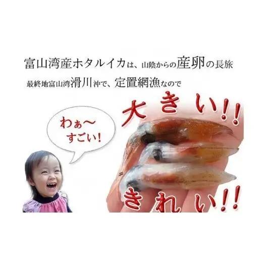 越中氷見屋　ホタルイカ沖漬け4種・甘酢漬け・素干し・魚醤干し（B1セット）　| ホタルイカ ほたるいか いか 珍味 沖漬け 醤油 柚子 味噌 辛 素干し 魚醤 甘酢 富山 富山湾 氷見 つまみ 酒の肴