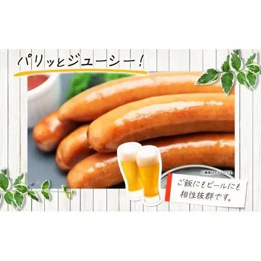 自家製ソーセージ 詰め合わせ 5種 豚 肉 朝食 BBQ バーベキュー ソーセージ ウインナー 黒ゴマ 枝豆 ホワイト 豚トロ プレーン チョリソー 辛い おつまみ ギフト お取り寄せ 元祖 生 冷凍
