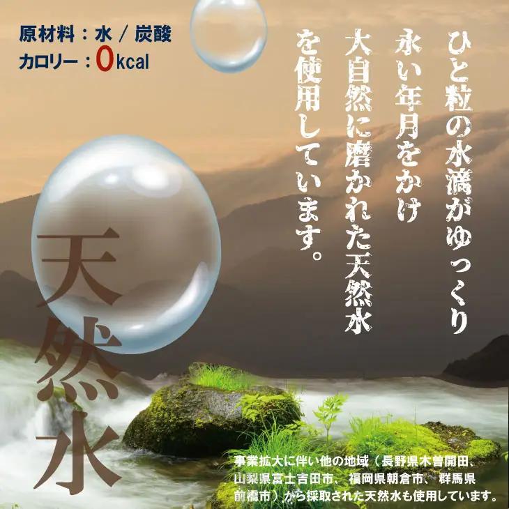 【定期便】（年/隔月）強炭酸水（500ml）2ケース（48本入り）×6回 炭酸 飲料 Q072-003