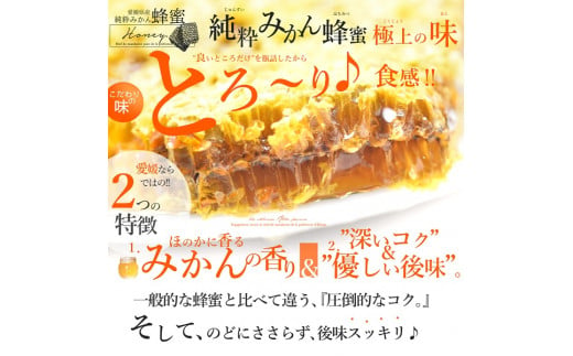 
E61-3.～愛媛県産のみかんで作った～純粋みかん蜂蜜（３本）
