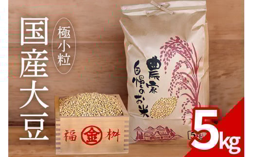 大豆 5kg 極小粒 岡田ファーム だいず ダイズ 国産 小粒 料理 煮豆 豆乳 納豆 用途多彩 健康食品 高たんぱく 保存食 産地直送 送料無料 (B02-024)