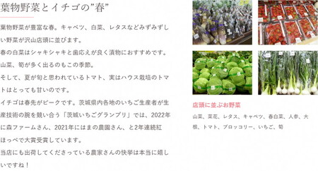 道の駅まくらがの里古河　季節の新鮮野菜おまかせAセット ※北海道・沖縄・離島への配送不可 _BQ03