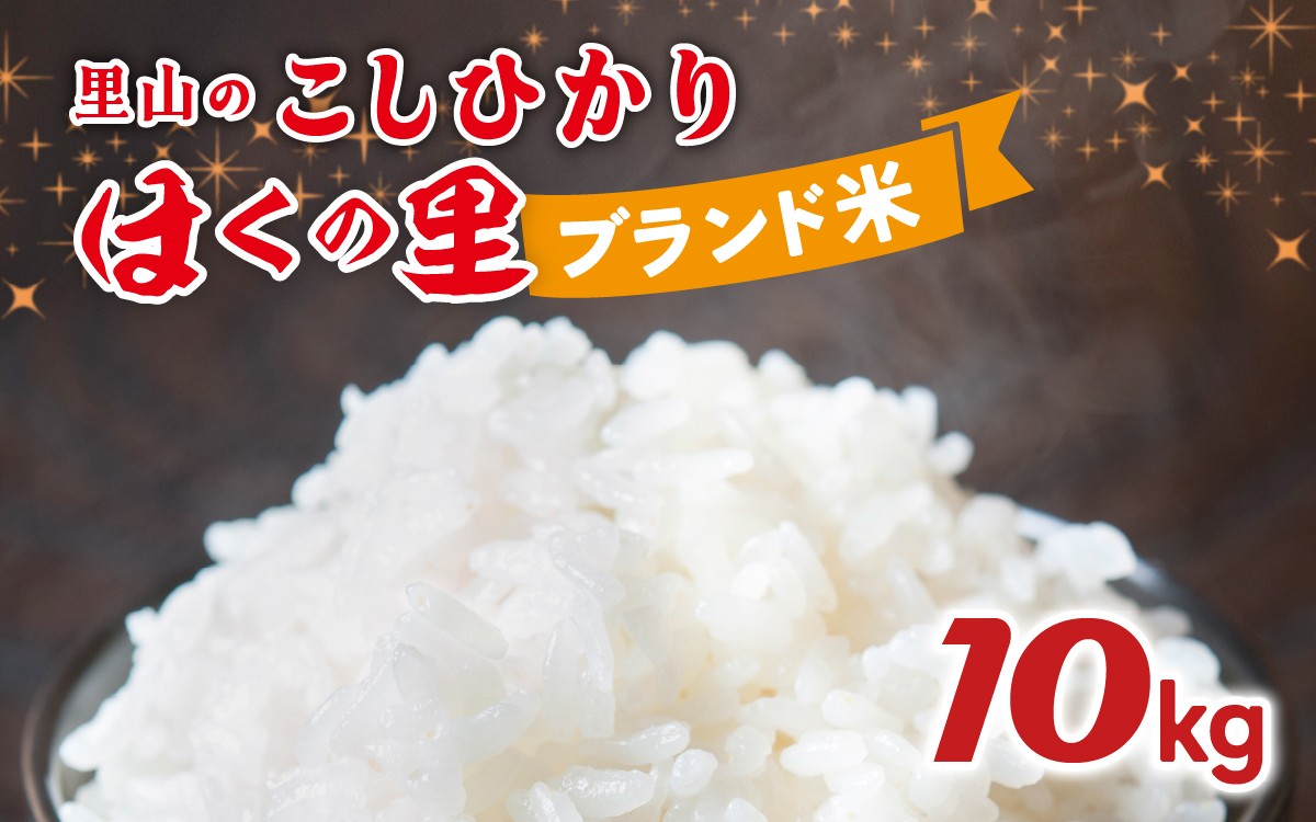 
                  里山のこしひかり ほくの里 10kg × 1袋 |  令和7年産 こしひかり コシヒカリ ブランド米 銘柄米 災害支援 お米 コメ こめ  10キロ 白米 精米 国産 選べる 石川県産
                