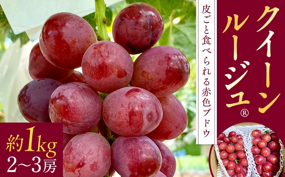 
                  クイーンルージュ(約1kg、2～3房)　
                