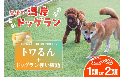 
                  《選べる内容》【TOWATERAメンバーズ】ドッグラン、ペットホテルなどをお得に利用できる「トワるん」会員入会＋ドッグラン使い放題（1頭 / 2頭）｜犬 ペット おでかけ 知多半島 伊勢湾 オーシャンビュー 海沿い 観光 体験チケット プール トリミング イベント ペットホテル 犬用ホテル カフェ ペット同伴 犬連れ ドッグラン 愛犬 大型犬 中型犬 小型犬 dog 利用券 体験券 広い 屋内 屋
                