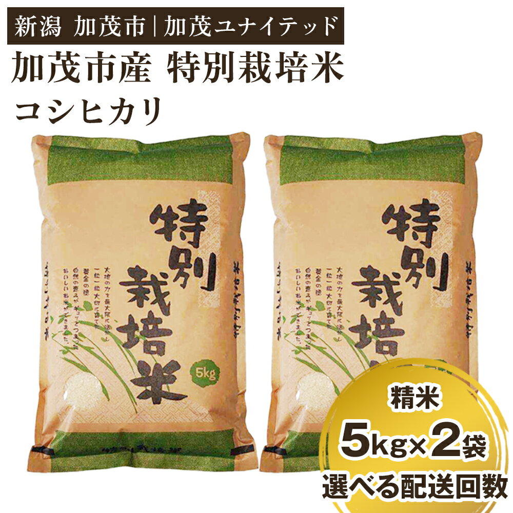 【ふるさと納税】【令和7年産新米】加茂市産 特別栽培米 コシヒカリ 精米10kg 選べる配送回数 （通常配送1回〜定期便3回）《10月中旬～順次出荷》 栽培期間中は化学肥料・農薬不使用 新潟米 お米 白米 こしひかり 加茂ユナイテッド