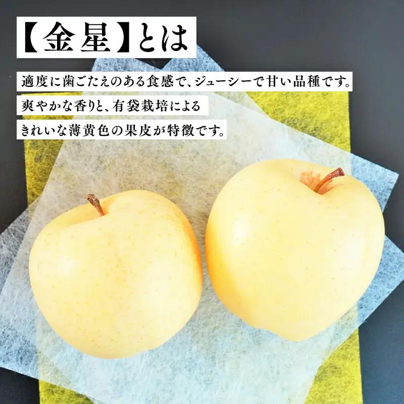 りんご 贈答用 金星 約3kg  12月発送 青森県平川市産[hi-0004-004]