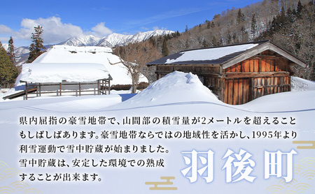 秋田の酒 本格 焼酎 花嫁道中 オリジナルラベル 720ml お酒 美酒爛漫 秋田 羽後町