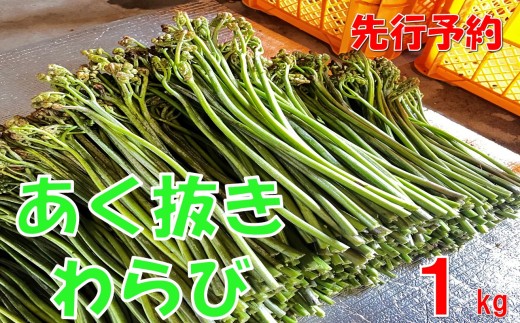 【先行予約・数量限定】採れたて山菜　あく抜きわらび１kg