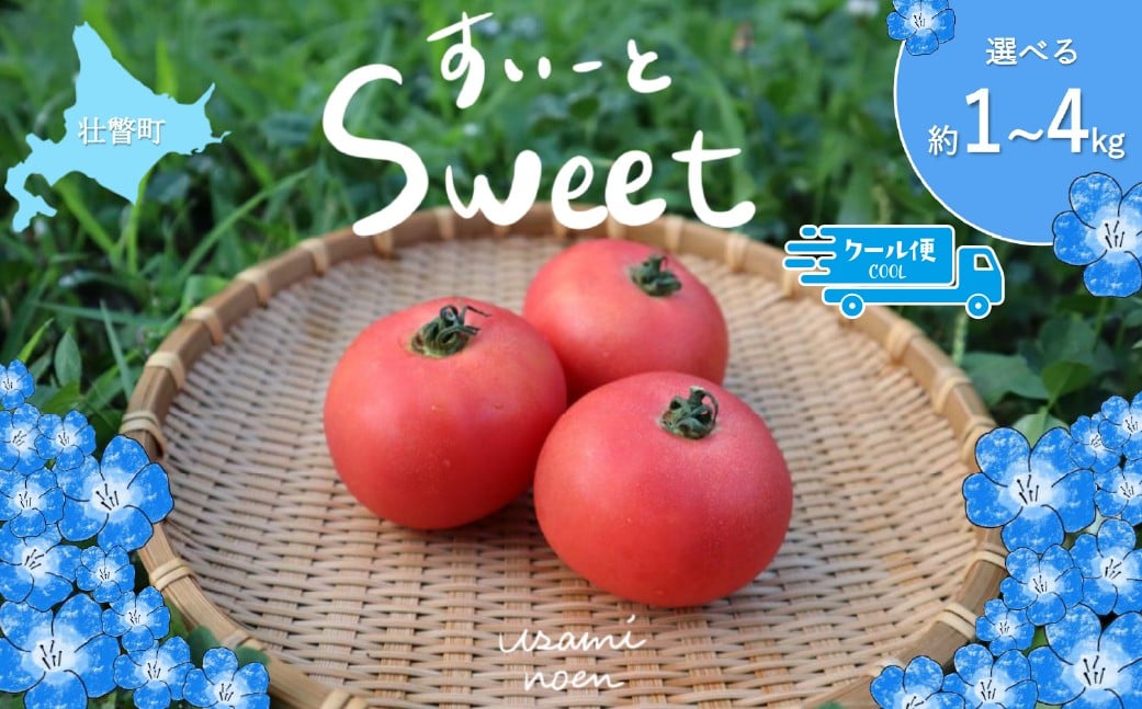 
                  【2026年予約】極旨トマトクール便 北海道壮瞥町産 スイート 選べる容量 1kg～4kg 中玉トマト 【 ふるさと納税 人気 トマト とまと 野菜 スイート 中玉トマト フルーツトマト フルーツ ミニトマト 甘い 糖度 美味しい 完熟 グルメ 北海道 壮瞥町 送料無料 】 SBTAJ016 
                