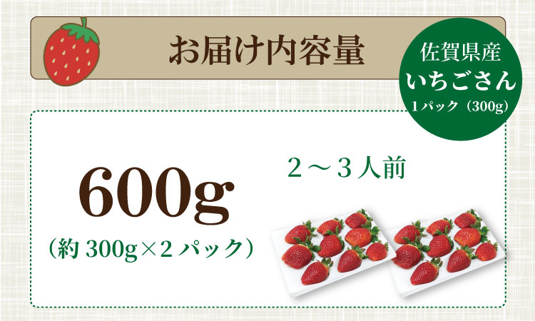 【先行予約令和8年2月配送開始】いちごさん 2箱セット ふるかわ農園  農家直送品 果物 くだもの フルーツ 人気 ランキング 高評価 苺 イチゴ 佐賀 送料無料