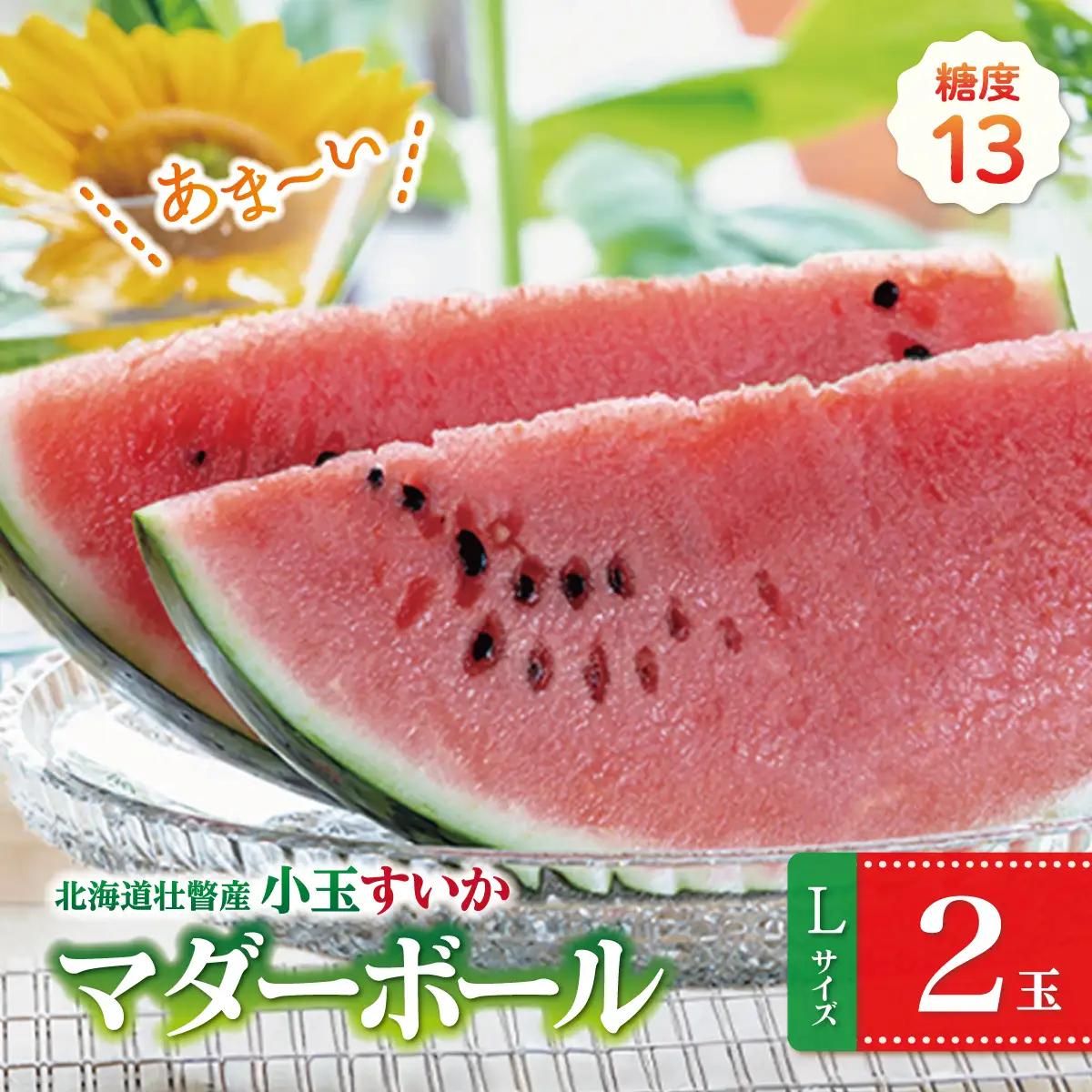 【2027年8月より発送】小玉すいか（マダーボール）Lサイズ2玉 スイカ 北海道壮瞥産 新山すいか SBTN002