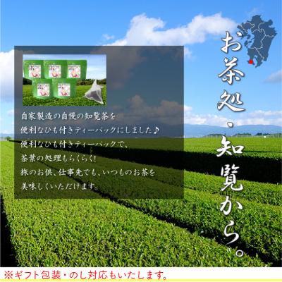 ふるさと納税 南九州市 【片野坂製茶】　知覧茶煎茶ティーパック |  | 01