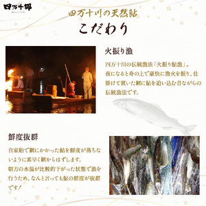 頭からガブッと！四万十川の天然小鮎 一夜干し（5枚セット） Esg-A25 あゆ アユ 鮎 魚 魚介 川魚 塩焼き 干物 ひもの 海鮮