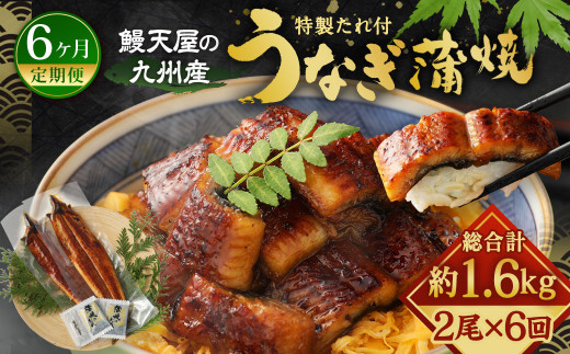 
【6ヶ月定期便】鰻天屋の 九州産 うなぎ 蒲焼 約140g×2尾 セット
