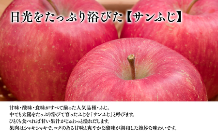 【レビューキャンペーン】4月 発送【訳あり】家庭用サンふじ約3㎏【サンふじ・りんご・青森・平川・訳あり・家庭用・原田青果３㎏】[hi-0059-001-4]