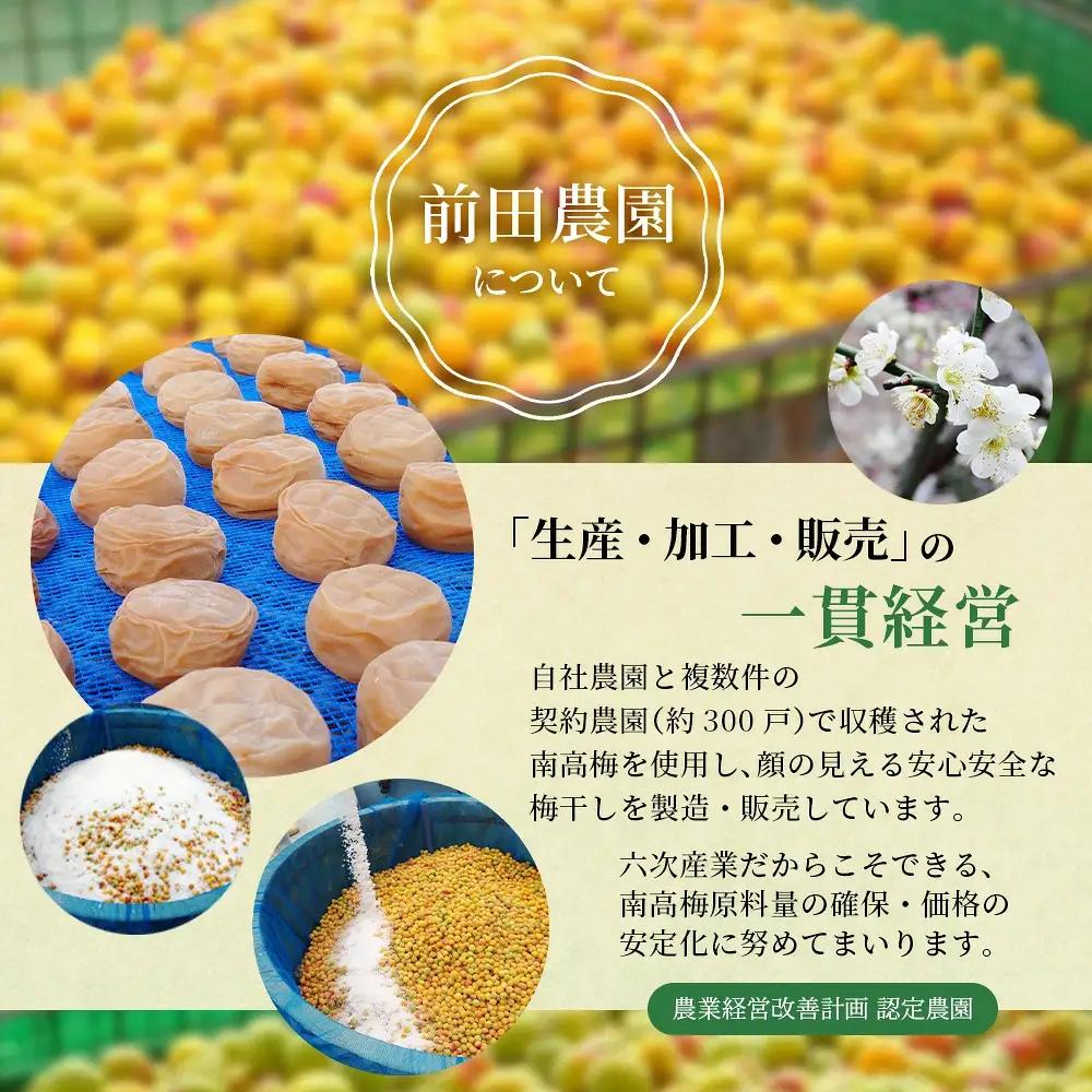 梅干し 大粒 お試し200g 紀州南高梅はちみつ漬け 200g 塩分10％  【mae006】