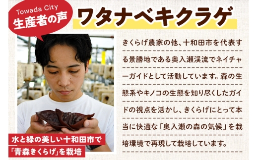 青森きくらげ（冷凍キクラゲ）約500g（約250g×2袋）十和田市産 [真空パック 国産 冷凍]