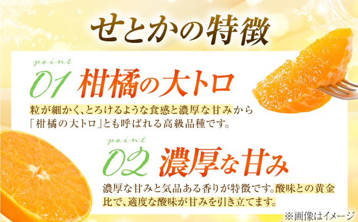 柑橘 蜜柑 みかん ミカン せとか 訳あり 訳アリ 3kg 小玉 愛媛