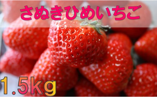 032　三木町地域いちご部会「さぬきひめ」1.5kg