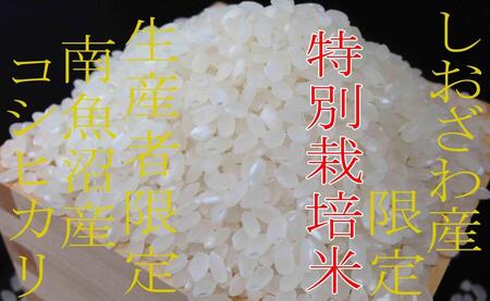 【令和7年産】【定期便4kg×6ヶ月】特別栽培 しおざわ産限定 生産者限定 南魚沼産コシヒカリ【2025年10月上旬より順次発送予定】