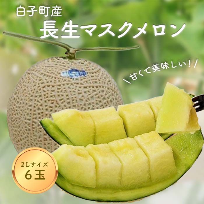 【ふるさと納税】【数量限定】甘くて美味しい！長生マスクメロン6玉（2L） ふるさと納税 メロン マスクメロン 長生マスクメロン ながいきマスクメロン6玉 先行予約 産地 直送 果物 追熟 青肉 甘い デザート お見舞い 果物 手土産 送料無料 SHK007