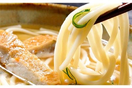 【12回定期便】練ト麺 (ねりとめん) 五島うどん 練り物 計108点 【しまおう】[PAY030]  SDGs ねりもの 練り物 練物 セット 