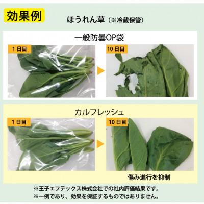 ふるさと納税 尼崎市 【クリーンルーム内製造】カルフレッシュ抗菌鮮度保持袋　サイズアソート100枚×3セット |  | 02