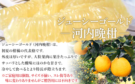 ＜ジューシーゴールド（河内晩柑） ご家庭用 約6kg＞ 訳あり 果物 フルーツ かわちばんかん じゅーしーごーるど みかん 蜜柑 オレンジ 柑橘 食べて応援 特産品 宇都宮物産 愛媛県 西予市 【常温