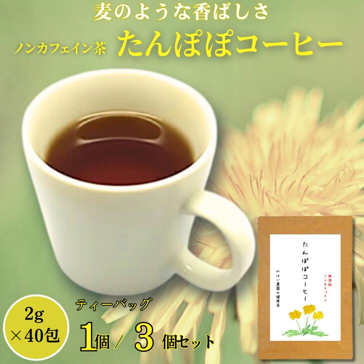 【ふるさと納税】たんぽぽコーヒー 選べる 1個 or 3個セット：B200-006