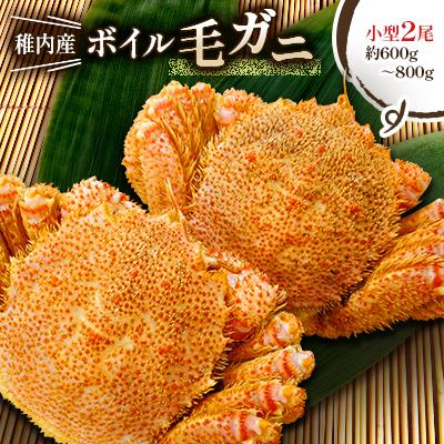 ふるさと納税 稚内市 【2025製造】稚内産ボイル毛ガニ小型2尾 (1尾約300g〜400gの毛ガニ×2尾)
