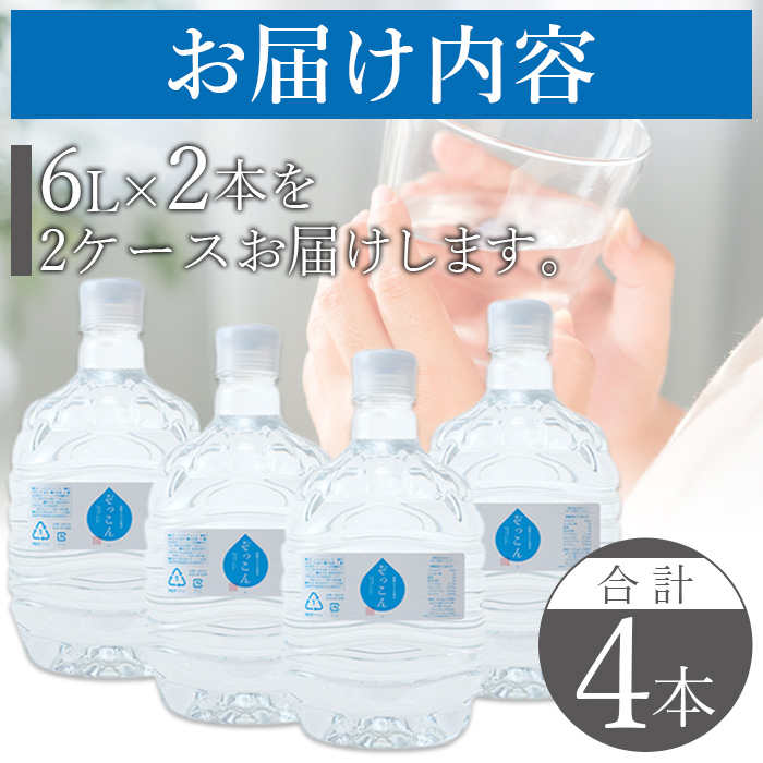 ＜四国カルスト天然水ぞっこん (6L×2本)×2ケース 計4本＞ 飲料 水 みず 中硬水 弱アルカリイオン水 ガロンボトル ウォーター バナジウム 備蓄 防災 キャンプ アウトドア 国産 特産品 ぞっ