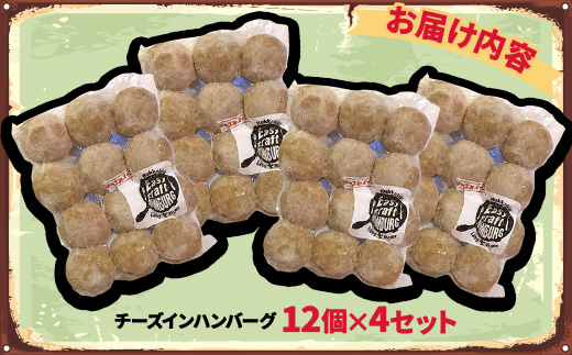 チーズ in 生ハンバーグ 12個×4セット グルテンフリー【配送不可地域：離島】