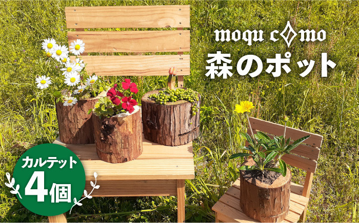 
                  《 森のポット 》 カルテット （ 4個 セット ） 《糸島》 【木工房moquc0mo】 [AHF001]
                