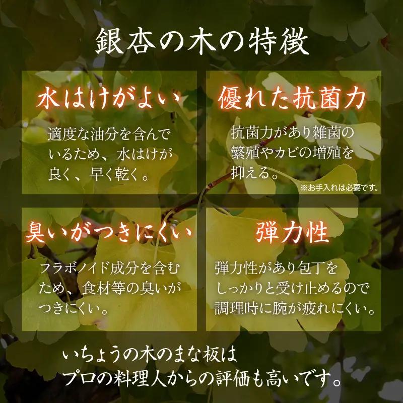 【一点物・柾目】恐竜王国福井県勝山市の風土に育まれた日本製 高級国産いちょうのまな板(正方形) [B-026007]