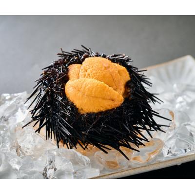 ふるさと納税 登別市 北海道登別近海産きたむらさきうに(冷凍パック)100g×5P