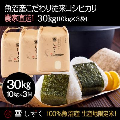 ふるさと納税 十日町市 令和7年産!魚沼産こだわり従来コシヒカリ【農家直送!】精米10kg×3袋
