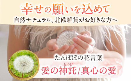 【pallo 80mm】たんぽぽハーバリウム / インテリア 雑貨 フラワー ナチュラル / 亀山市 / auRinko [AMBL002]