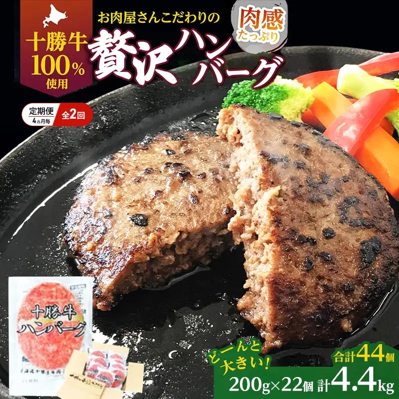 定期便 手ごねハンバーグ 全2回 合計44個 十勝牛 ハンバーグ