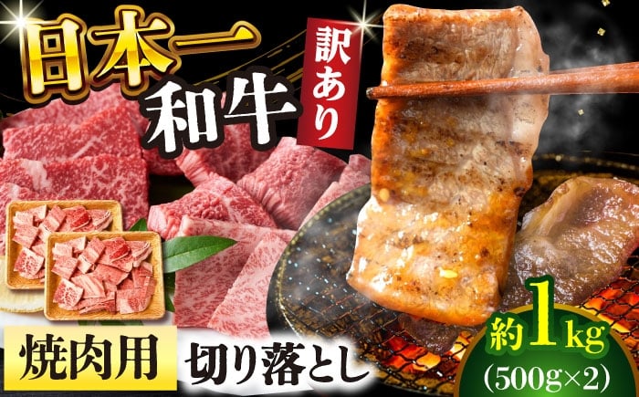 
            【年内配送】【訳あり】【A4～A5】長崎和牛焼肉切り落とし(肩ロース・バラ）　1kg（500g×2p）【株式会社 MEAT PLUS】 [DBS004]長崎和牛 和牛 国産 牛肉  長崎和牛 焼肉 切り落とし 肩ロース バラ 1kg 500g 2パック 訳アリ 訳あり
          