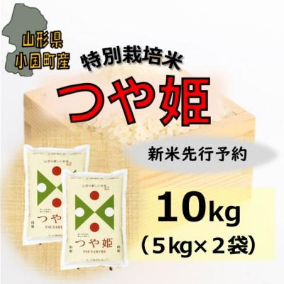 ふるさと納税 小国町 【令和8年産米先行予約】山形県小国町産　つや姫10kg(5kg×2袋)　小国米穀商業協同組合