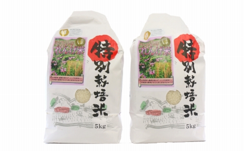 【令和7年度産】 《玄米》佐々木さんの「れんげ米」（10kg）