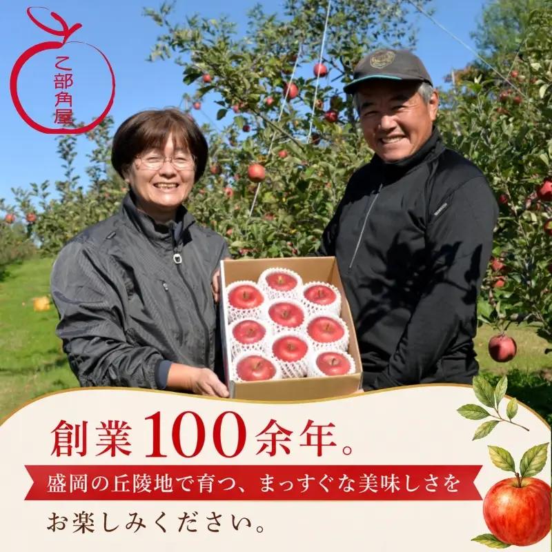 【先行予約】 訳あり 盛岡りんご 品種おまかせ 5kg 乙部角屋 りんご otobe006