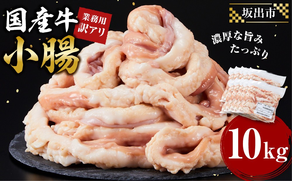 
                  《業務用・訳アリ》国産牛　小腸　10kg
                