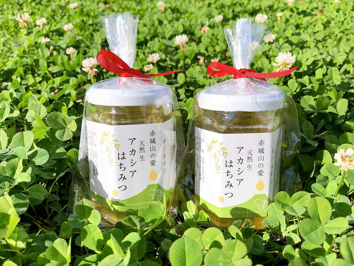 【ふるさと納税】Cセット 赤城山の愛 アカシアはちみつ 180g×2｜はちみつ 花 国産 非加熱 甘い 天然 群馬県 前橋市