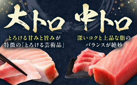 【全3回定期便】対馬産 本マグロ 4種 計1kg（赤身/中トロ/大トロ/ネギトロ）[WAH006] まぐろ トロ 刺身