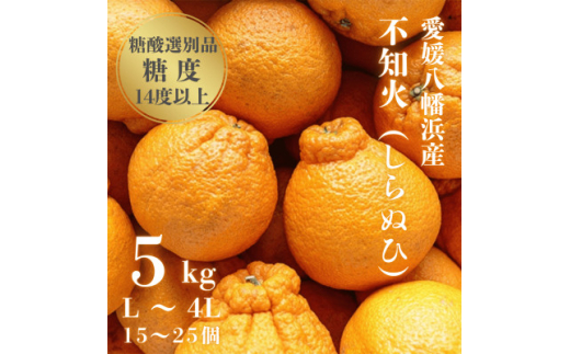 ＜糖度14.0以上酸1.4以下＞糖酸選別品 愛媛産 不知火 (しらぬひ) 5kg＜D20-61＞【1620228】