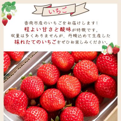 ふるさと納税 香南市 いちご 4パック 計60個程度 yr-0054 |  | 01